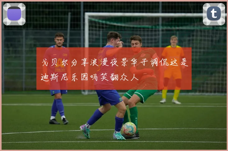 戈贝尔分享浪漫夜景华子调侃这是迪斯尼乐园吗笑翻众人